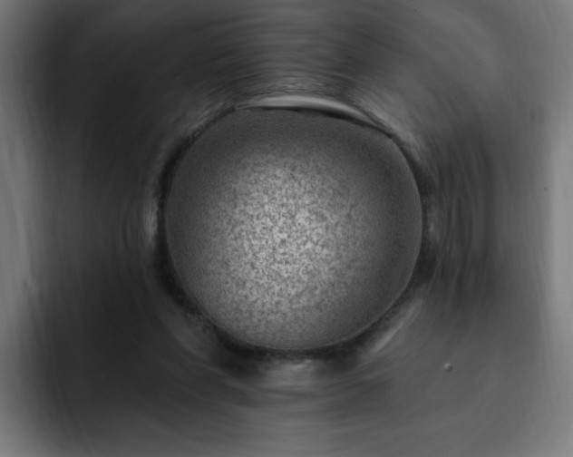 X0000093260206200710031610