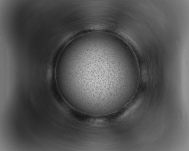 X0000093260208200710031610