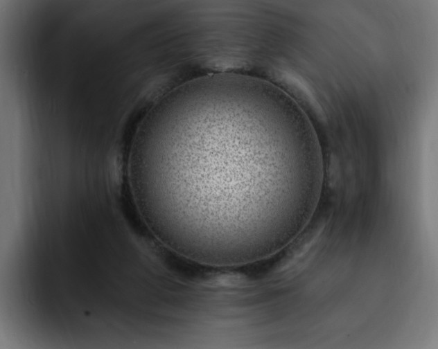 X0000093260210200710031610