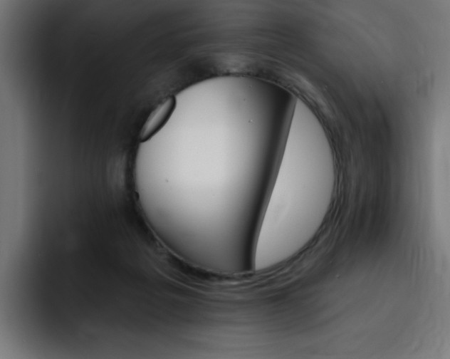 X0000093260217200710031609