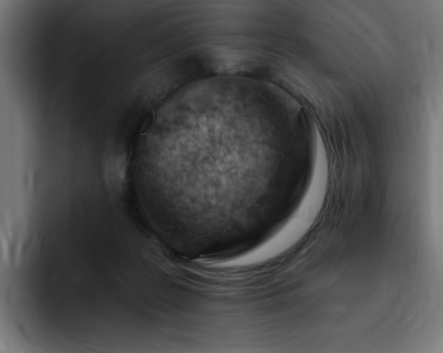 X0000093260219200710031609