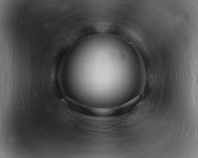 X0000093260221200710031609