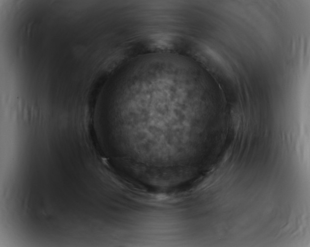 X0000093260223200710031609