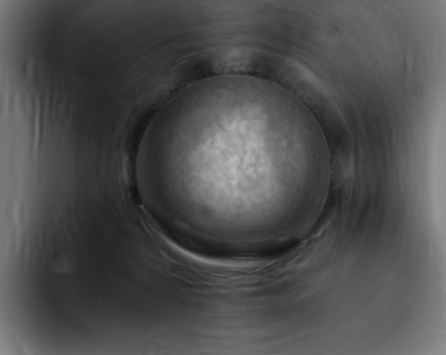 X0000093260224200710031609