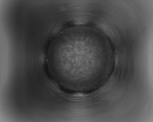 X0000093260227200710031609