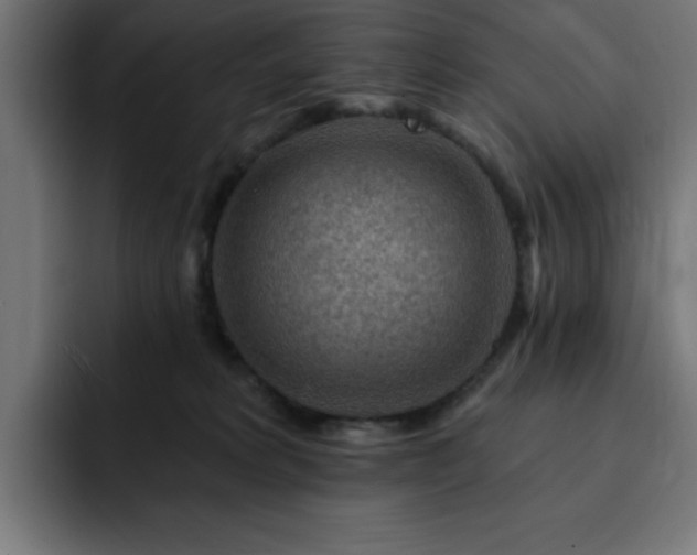 X0000093260229200710031609