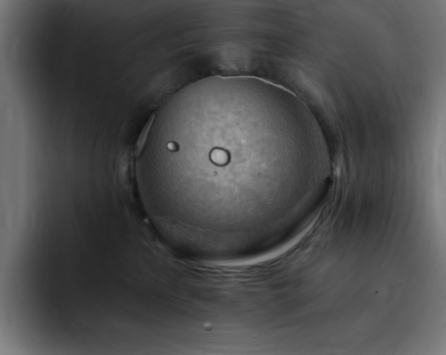 X0000093260233200710031609