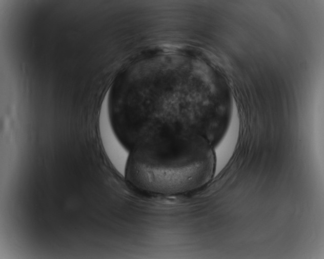 X0000093260235200710031609