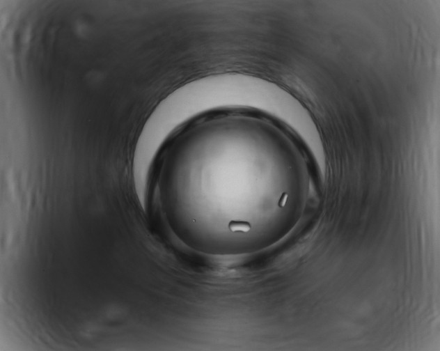 X0000093260237200710031609