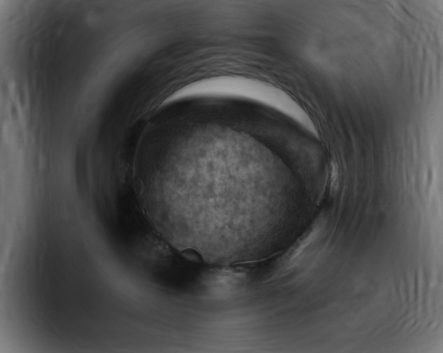 X0000093260239200710031609