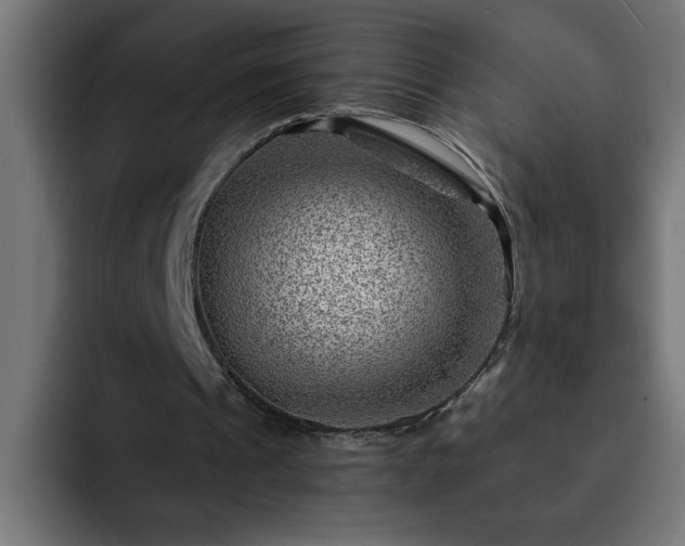 X0000093260241200710031609