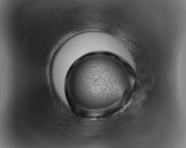 X0000093260244200710031609