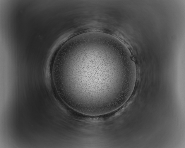 X0000093260245200710031609