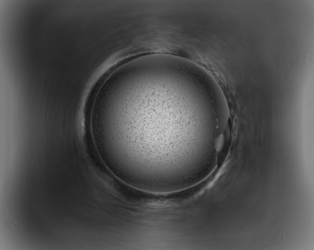 X0000093260246200710031609