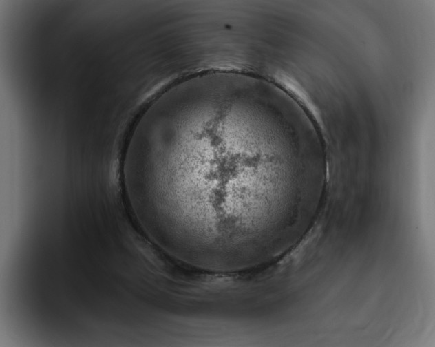 X0000093260249200710031609