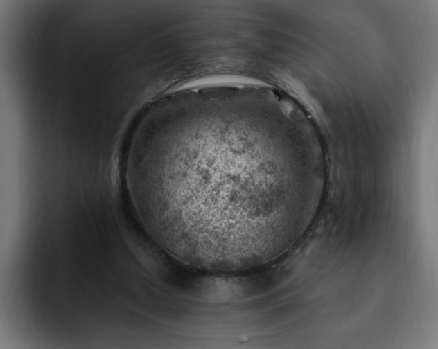 X0000093260250200710031609