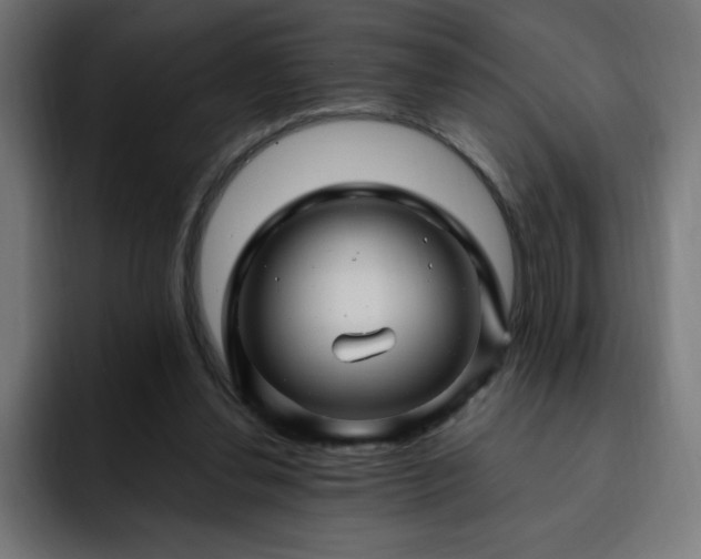 X0000093260252200710031609