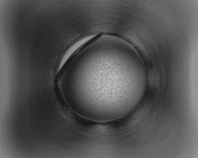 X0000093260255200710031609