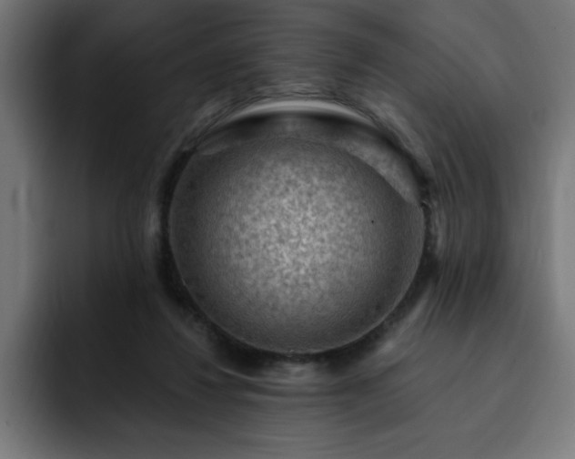 X0000093260260200710031609