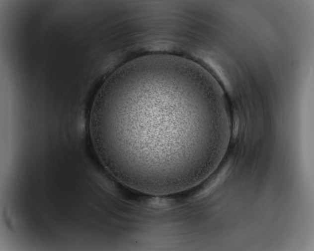 X0000093260261200710031609