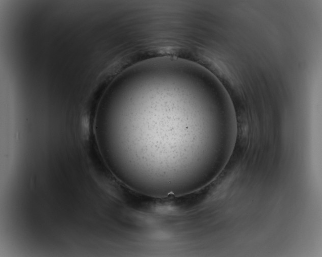 X0000093260262200710031609