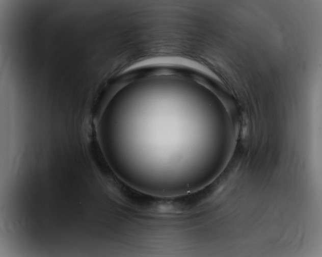 X0000093260264200710031609