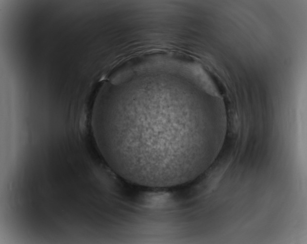 X0000093260266200710031609