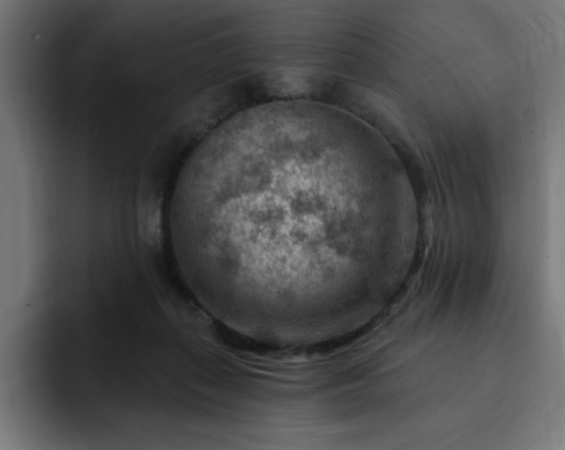 X0000093260267200710031609