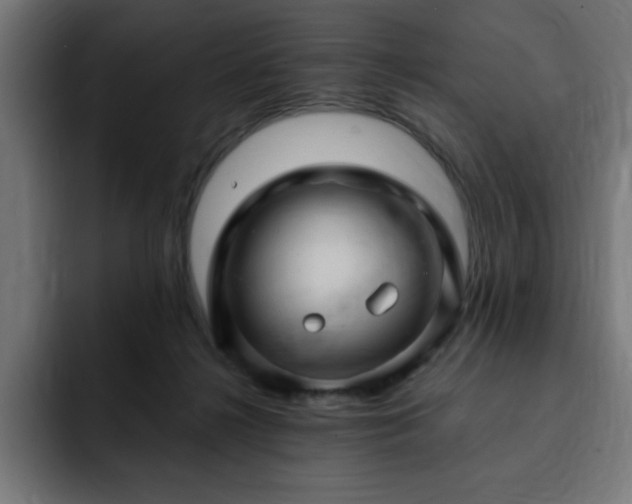 X0000093260268200710031609