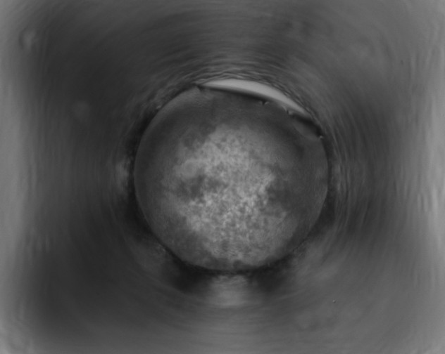 X0000093260271200710031609