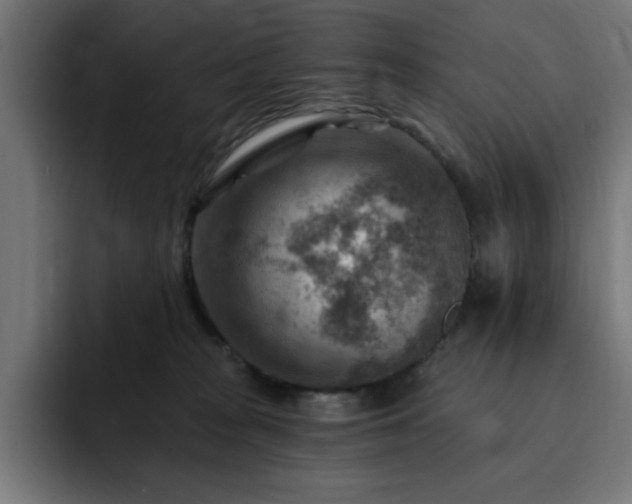 X0000093260277200710031609