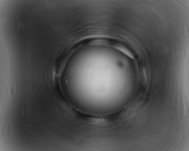 X0000093260284200710031609