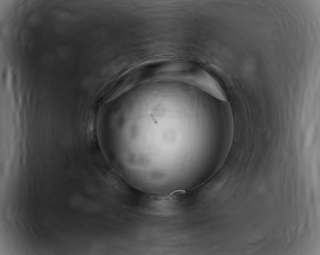 X0000093260288200710031609