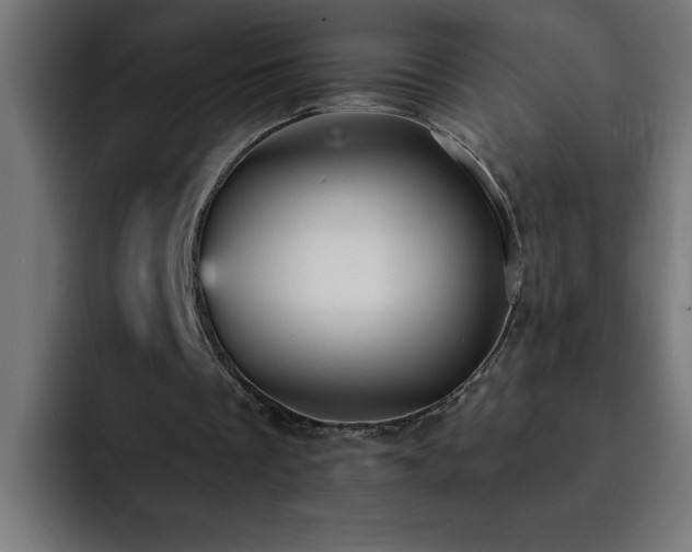 X0000093260289200710031609