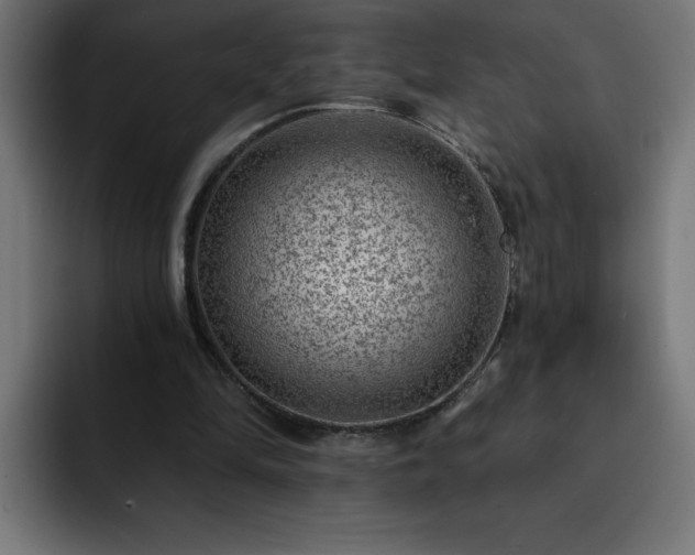 X0000093260294200710031609