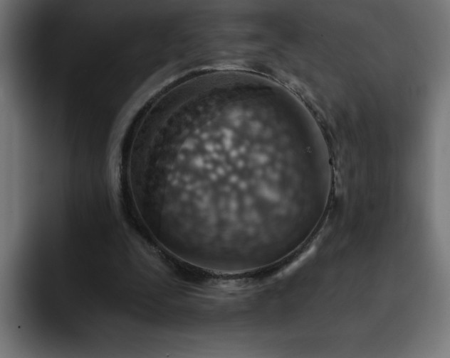 X0000093260295200710031609