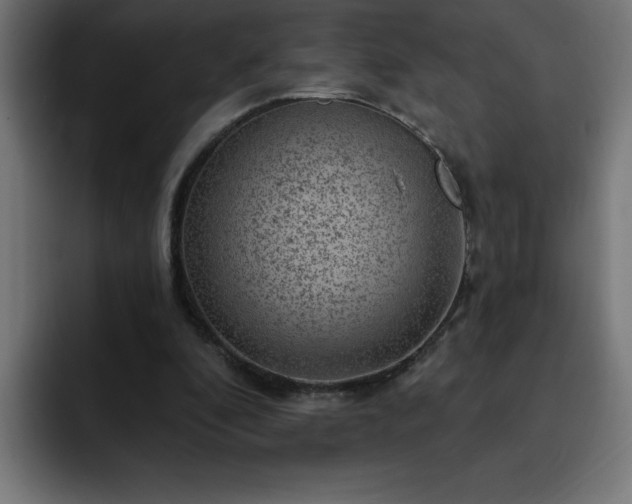 X0000093260296200710031609