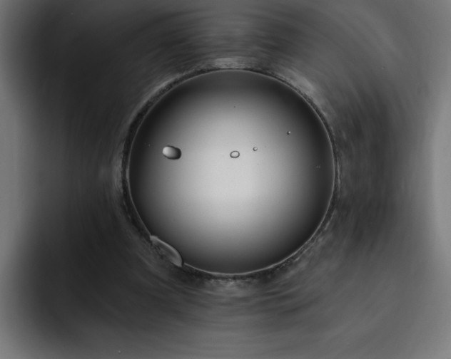 X0000093260297200710031608