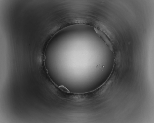 X0000093260305200710031608