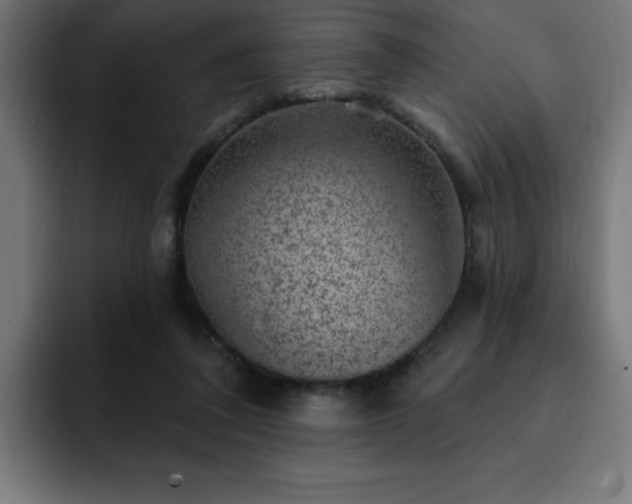 X0000093260308200710031608