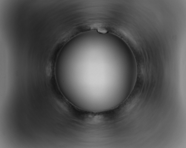 X0000093260311200710031608