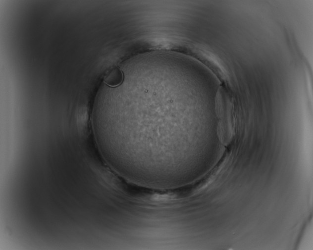 X0000093260314200710031608