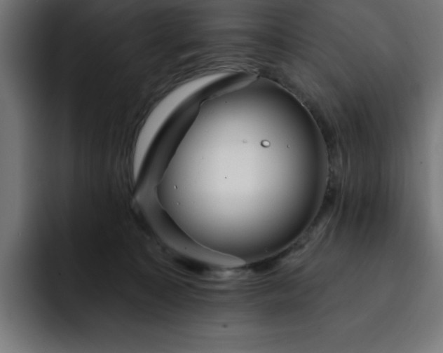 X0000093260323200710031608