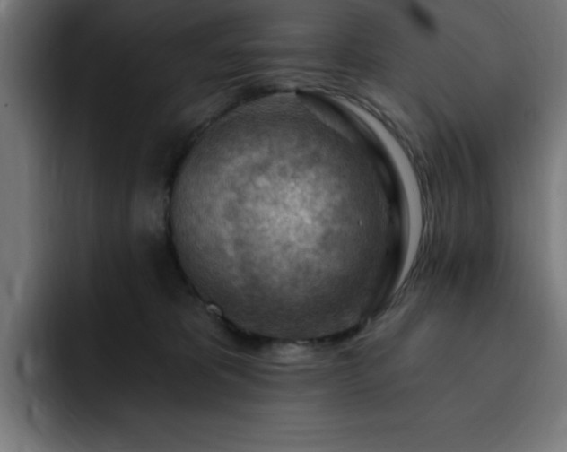 X0000093260325200710031608