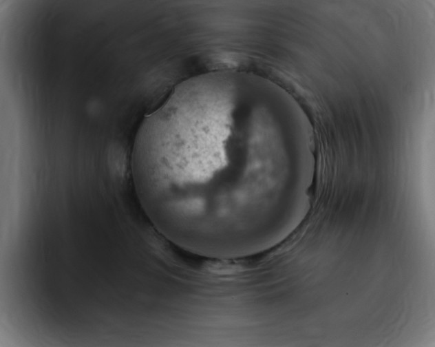 X0000093260331200710031608