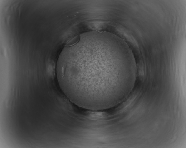 X0000093260332200710031608