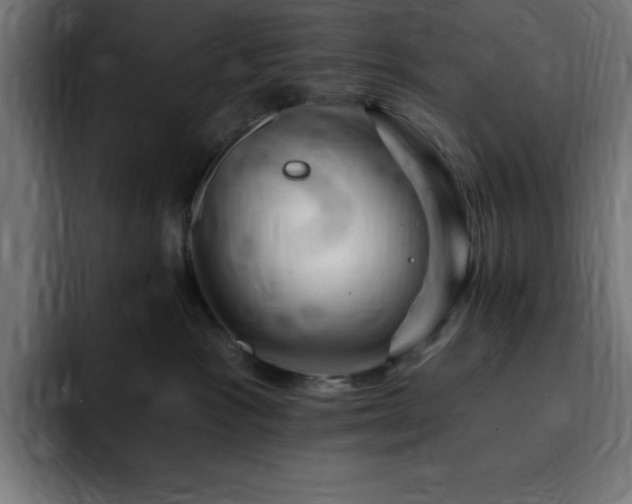 X0000093260333200710031608