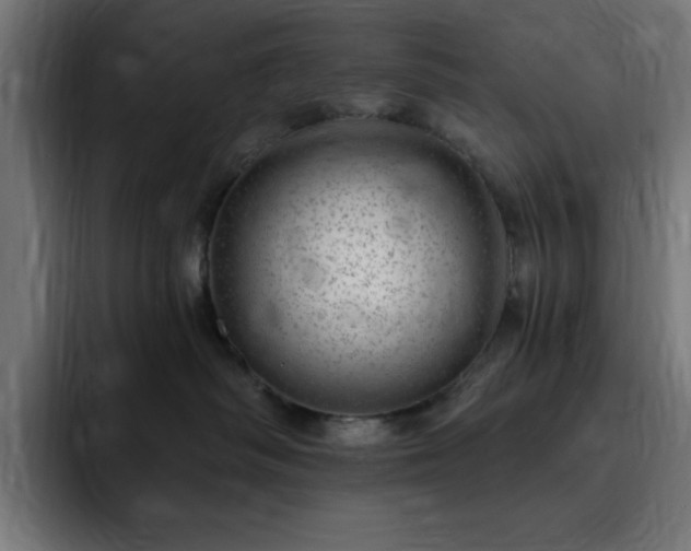 X0000093260334200710031608