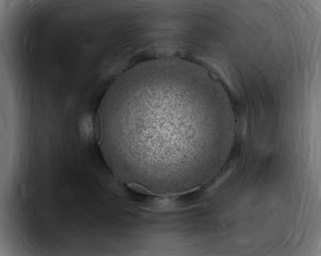 X0000093260335200710031608