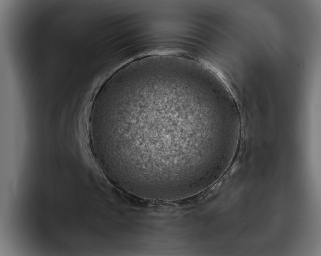 X0000093260337200710031607